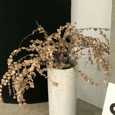 Furry绘画细节处理FurryQQ群